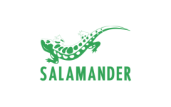 Salamander